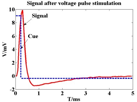 Epidural pulse voltage stimulus can be transferred effectively to cortical tissue | Developing a Flexible Wireless Microcoil | Delphon
