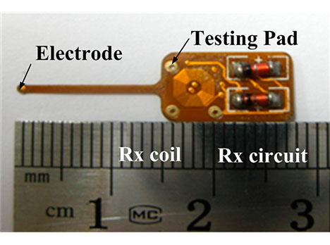 Electrode + Testing Pad + Rx Coil + Rx Circuit | Developing a Flexible Wireless Microcoil | Delphon