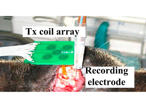 Tx Coil Array | Developing a Flexible Wireless Microcoil | Delphon