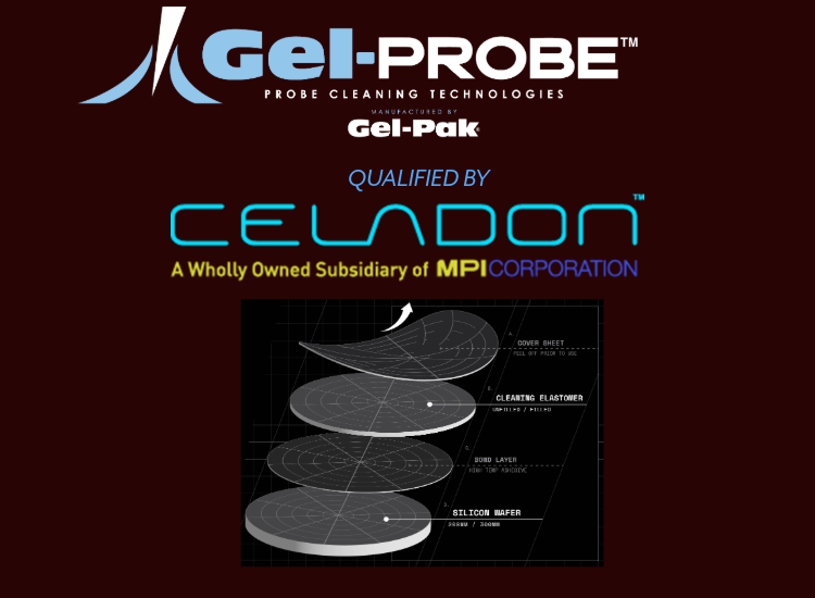 Celadon Corporation
